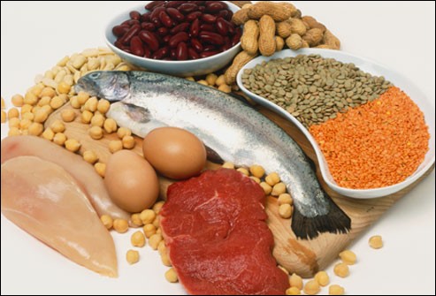 پروتئین چیست و چرا خوردن آن برای بدن ضروریست؟